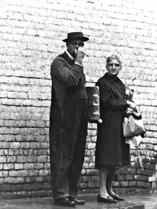 My beautiful picture